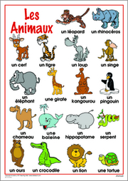 Animals