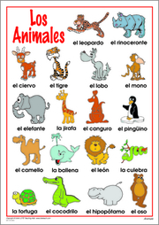 Animals