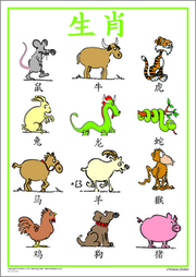 Chinese Zodiac