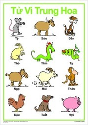 Chinese Zodiac