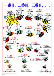 Ordinals