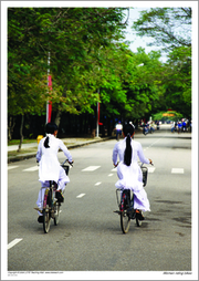 Women riding bikes