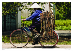 Bicycle transport