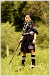 Sapa woman