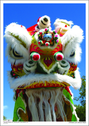 Chinese Lion Dance Head