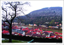 View of Heidelberg