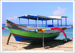 Traditional Fishing Boat