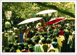 Diagoji Temples Spring Festival, Kyoto