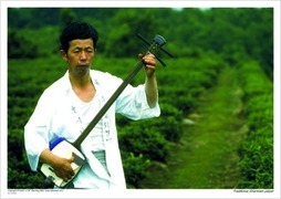 Traditional Shamisen player