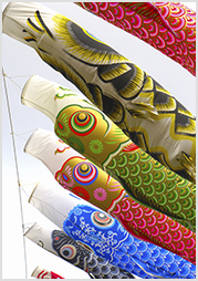 Carp streamers