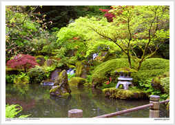 Japanese garden