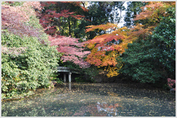 Bridge,Gyoen National Garden, Kyoto