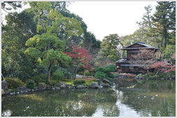 View from the bridge, Gyoen National Garden