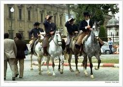 Horsemen, Feria