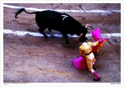 Bullfight, Madrid