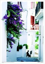 Street in Skiathos