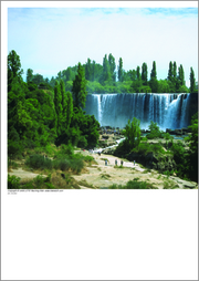 Bio Bio Waterfall, Chile