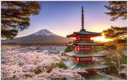 Mount Fuji and the Shibazakura Garden Festival in Spring, Japan